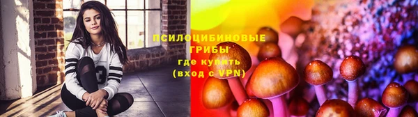 первитин Алексеевка