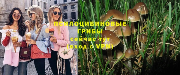 дурь Алексин