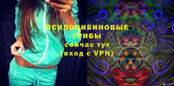 дурь Алексин